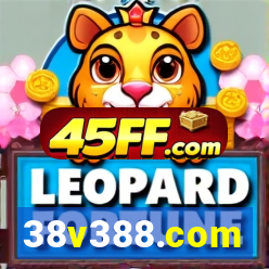 38v388.com