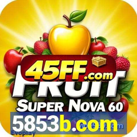 5853b.com