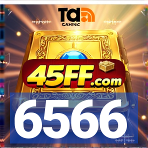 6566
