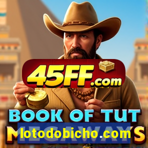 lotodobicho.com