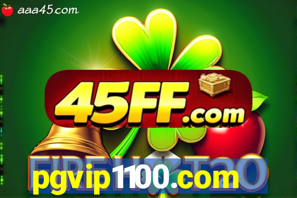 pgvip1100.com