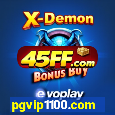 pgvip1100.com