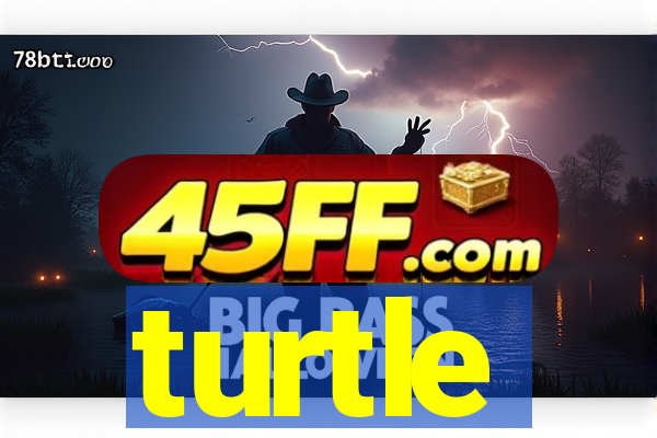 turtle-ty.com